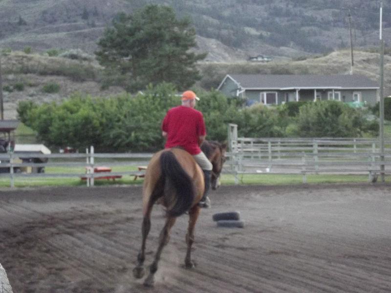 RENTAL FOR HORSE LOVER