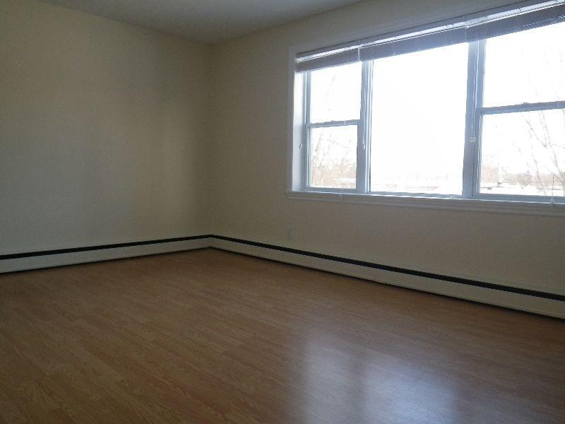 Fully Renovated Downtown Bachelor with Heat & Hot Water Inc