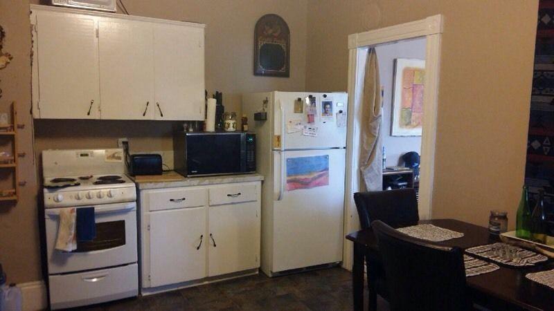 Large Renovated 1 Bedroom Apt. Heat/Lights Included