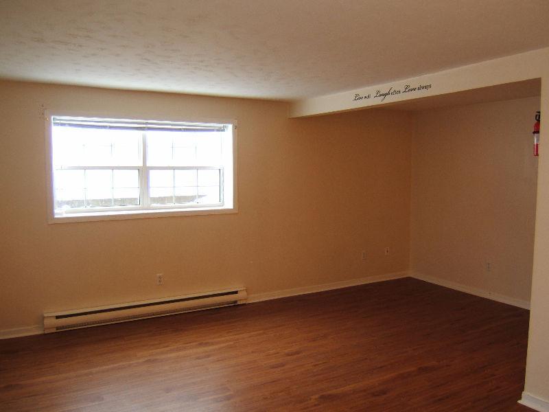 Smythe Street downtown 1 bedroom $650 Available May 1st