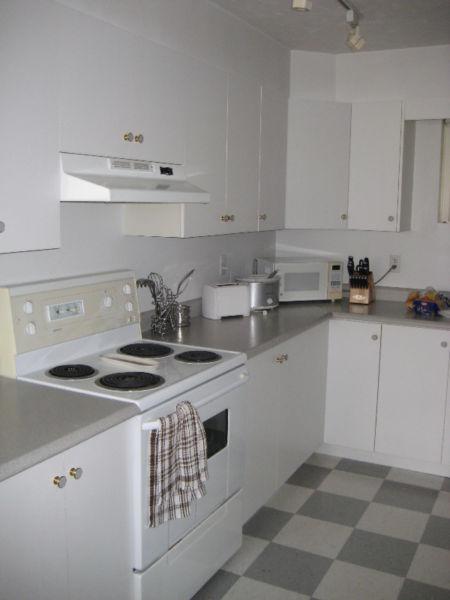 All inclusive apartment (utilities, furniture and appliances)