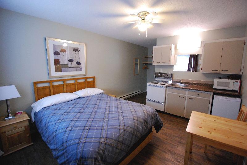 Immaculate One Bedroom + Studio Apartment Suites Available