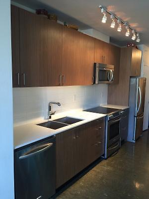 1 Bed modern condo in trendy Chinatown, Pet Friendly