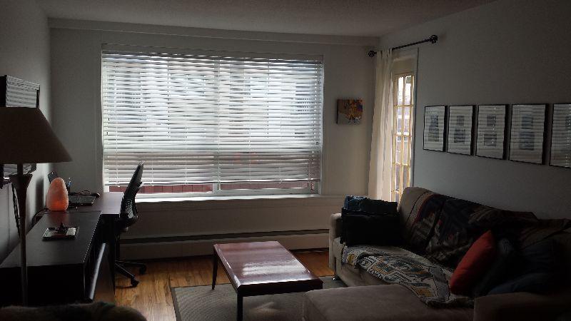 Fabulous 1 bedroom apartment (Marpole)