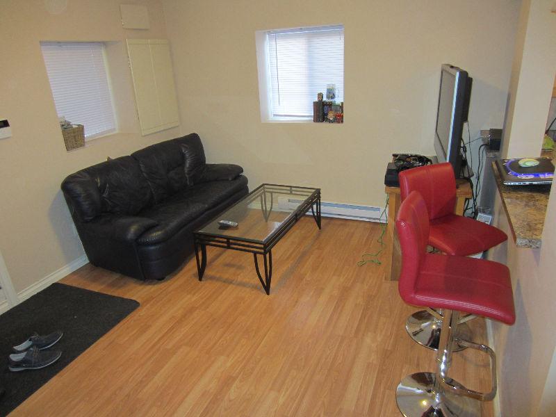 Very clean furnished 1 bdrm avail April 1 (Killarney)