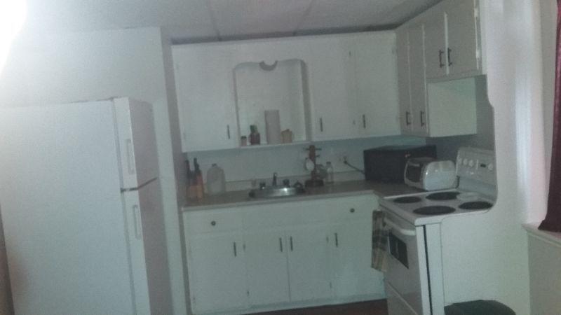 1 Bedroom plus Den Apartment for Rent