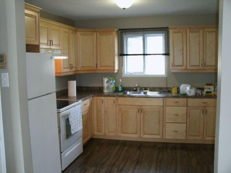 Nice newly renovated main floor 2 bedroom apartment