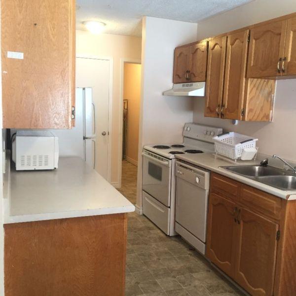 Furnished 2 bedroom apartment $990, including utilities