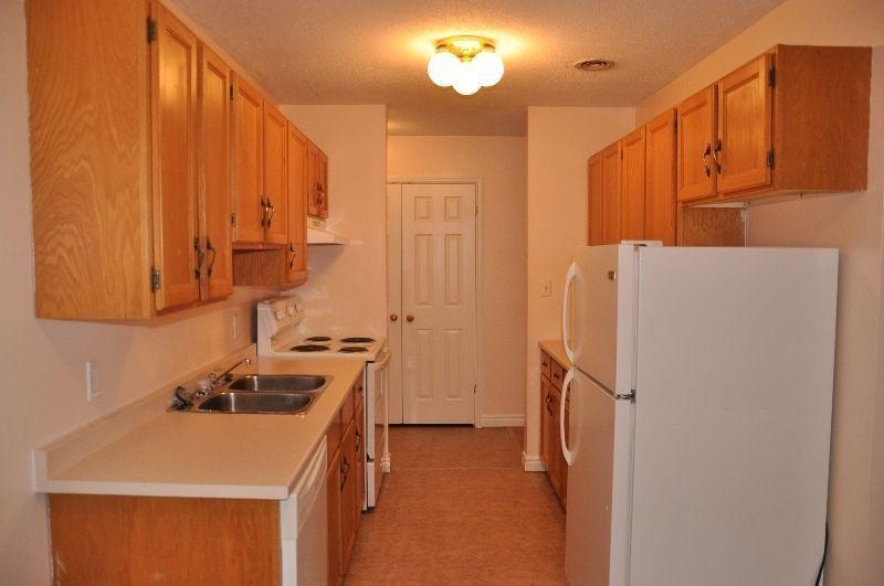 Large Bright 2bedroom, NO CARPET, month to month available