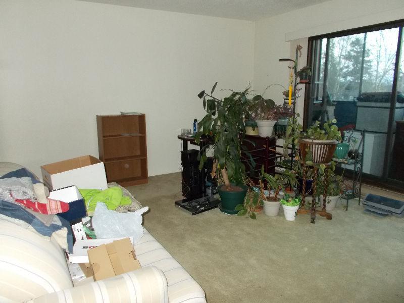 $1200 Two Bedroom on Esquimalt Rd
