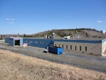 INDUSTRIAL BUILDING FOR SALE