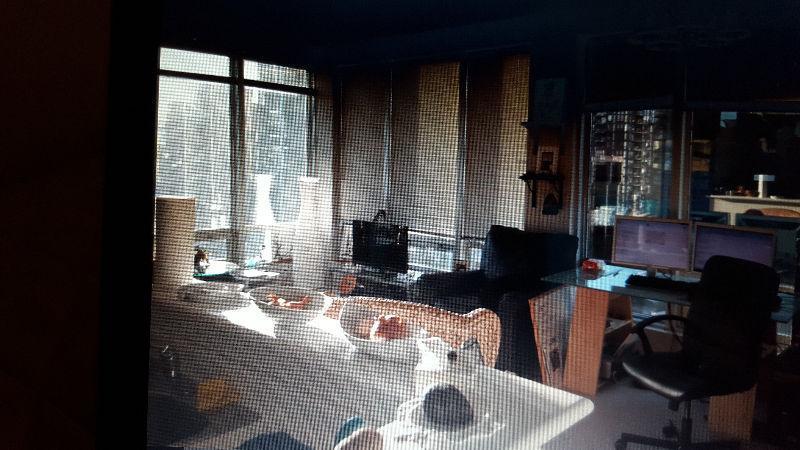 Beautifully Furnished Down Town Condo to Share $800