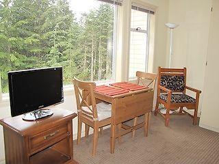 Forest View Furnished Studio