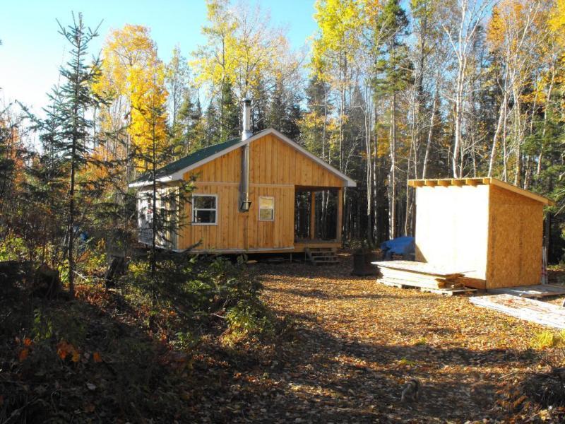 Camp and woodlot for sale