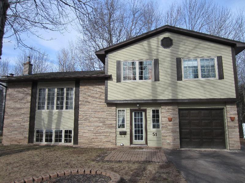 Gorgeous 4 level home in a great neighbourhood