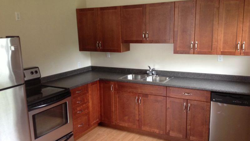 *RENT REDUCED* Newly Renovated 3bdrm 1bath FOR RENT