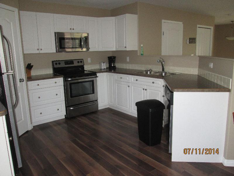 Bright Half Duplex**$1050/M**