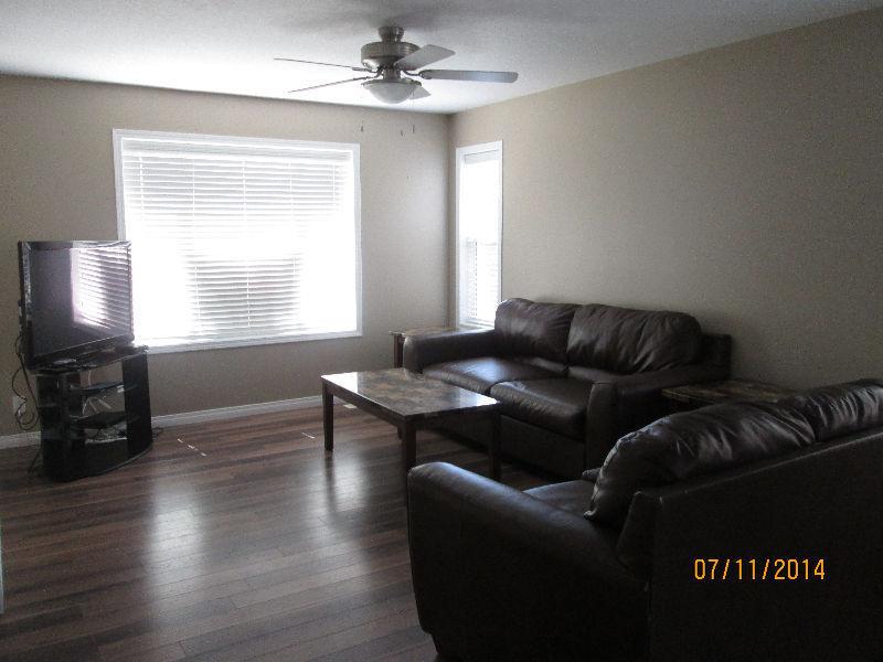 Bright Half Duplex**$1050/M**