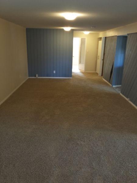 900 sq ft Bright basment suite available now