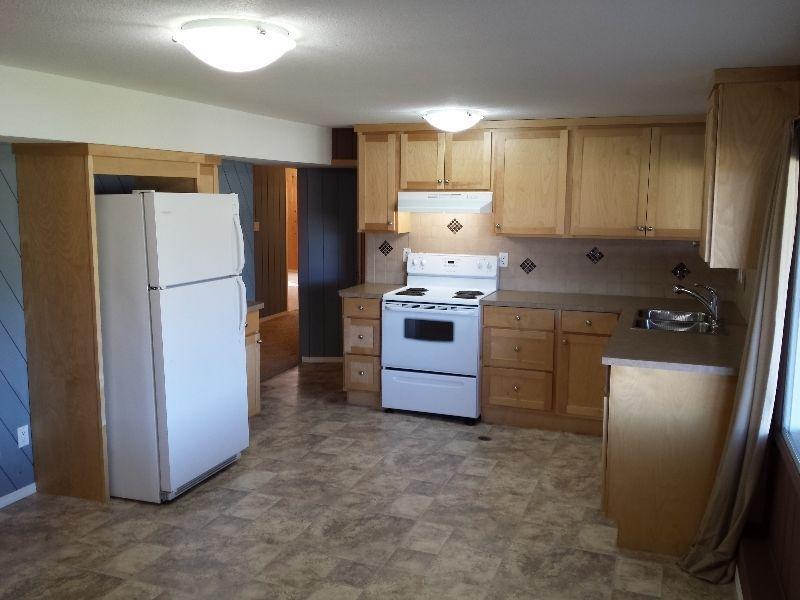 900 sq ft Bright basment suite available now