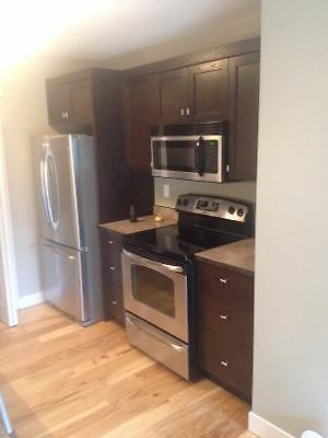 Condo for rent salmonarm