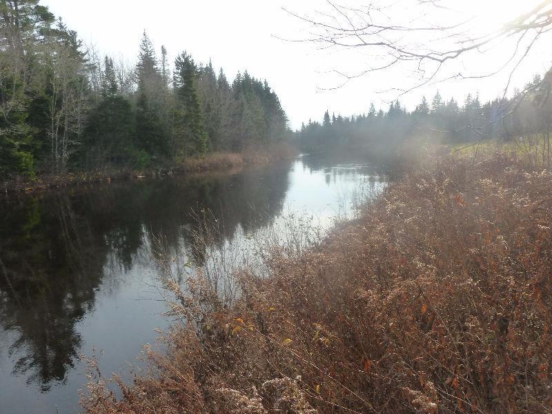 Waterfront-Salmon River on Rte 116 on river&brook 12x20 camp