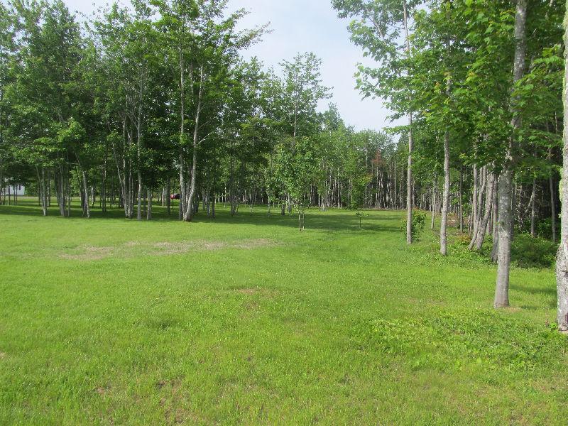 Land for sale REDUCED by $3000