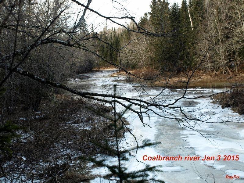 50 ACRES WOODLOT ON COALBRANCH RIVER CLAIRVILLE N.B