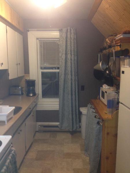 Looking for Female room mate for 2 bedroom Northside Apartment