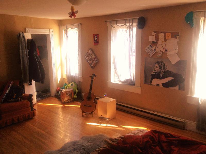 Need roommate to share My big 2 bedrooms apt. downtown !