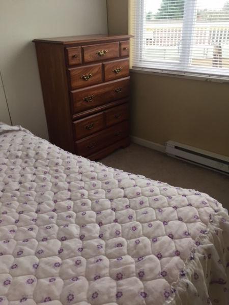 Fully furnished room
