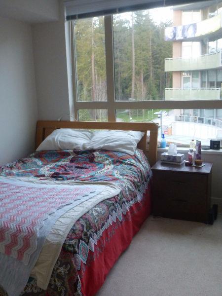 Female Roommate or Couple Wanted (19-30) for Summer Sublet