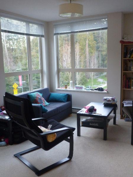 Female Roommate or Couple Wanted (19-30) for Summer Sublet