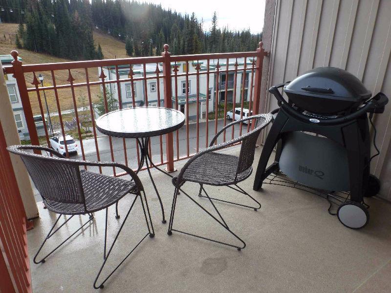 Pet Friendly - fully furnished 2 bed/2 bath condo at Silver Star