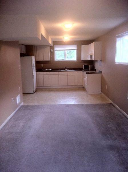 Lower level walk out apartment for rent