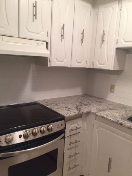 Newly Upgraded One bedroom Apartment for Rent $850+Hydro