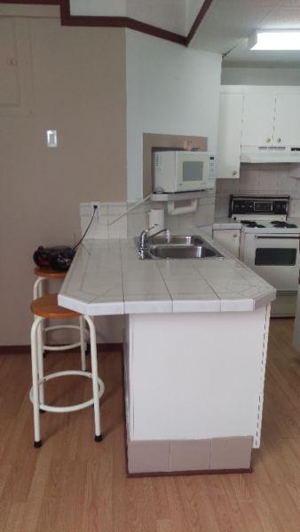 1 Bedroom bachelor apartment (ground level)