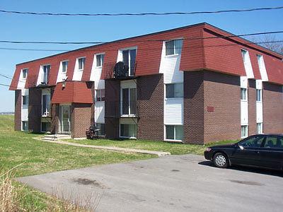 460 City Line 1 bedroom basement apartment