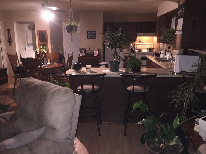Spacious 2 Bedroom Apartment