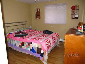 Bright and Spacious 2 Bdrm for May - Dawson St
