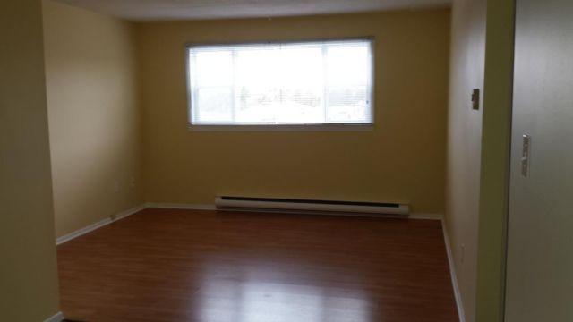 AFFORDABLE AND PRACTICAL-GREAT MILLIDGEVILLE LOCATION (Video!!)
