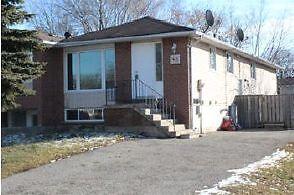 3 bdrm main floor apt in  close to everything