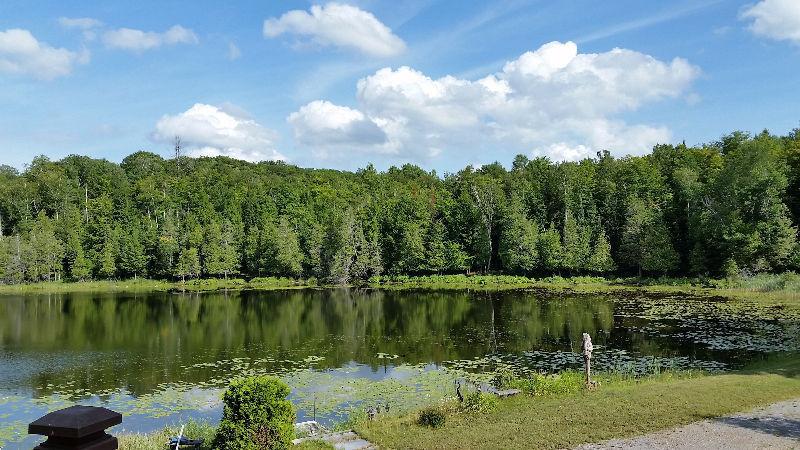 Privacy Bancroft On on 17 acres with 7 acre trout pond