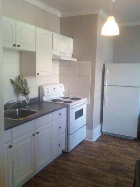 Great 3 Br! Student House, Student Rental!