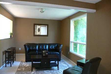 Large Spacious House Steps from University and Stone Rd Mall