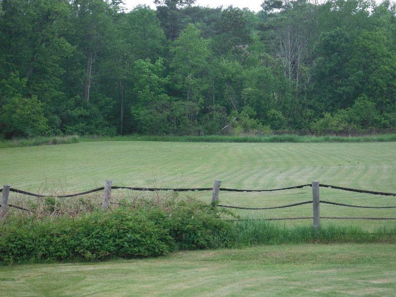 Almost 7 pristine Acres