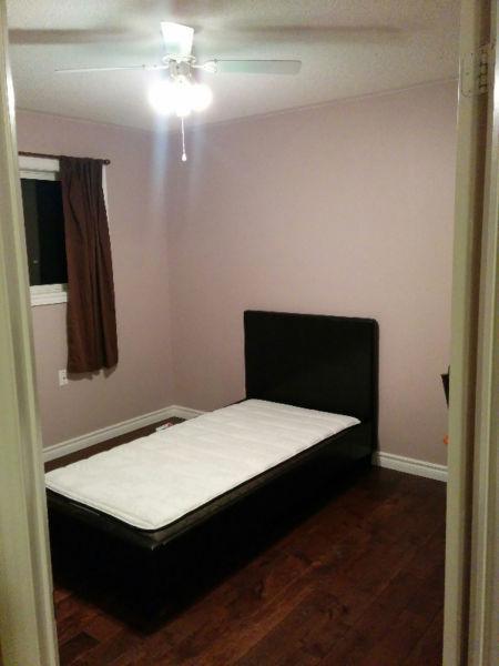 A Brand New Rental Room available in South