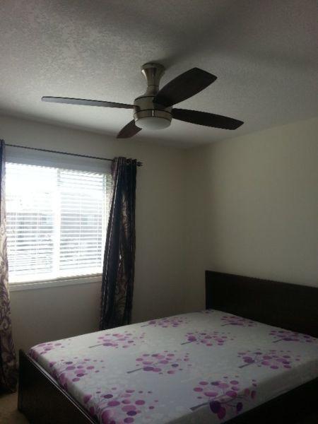 A beautiful Room and washroom available for rent in WEST BRANT