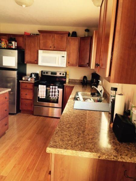 Laurier University, Walking Distance, Avail May 2016