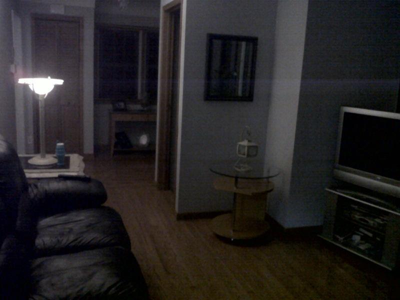Short term rental for students or business professionals